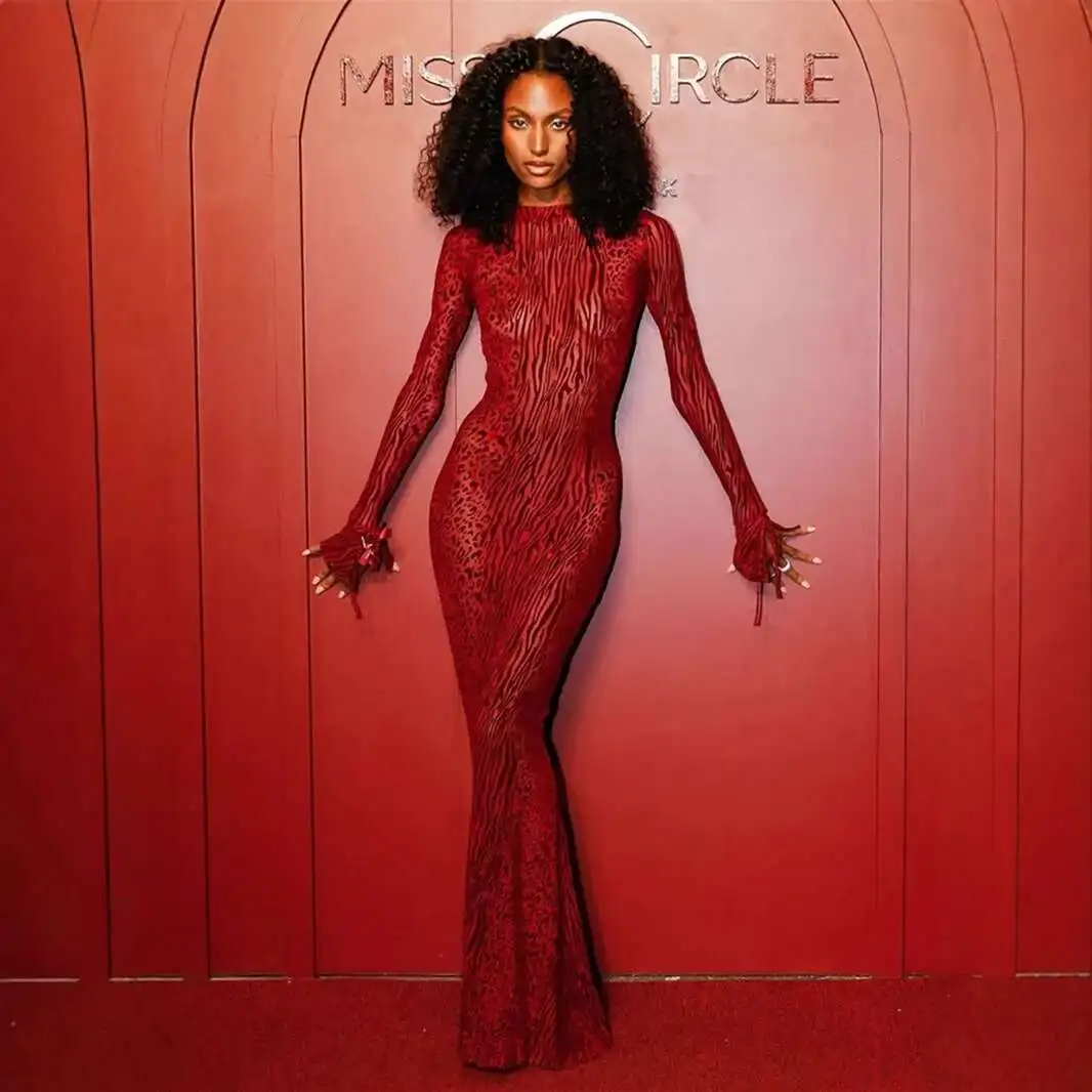 

2024 Autumn New Fashion Mesh Sexy Perspective Leopard Pattern Butt Wrapped Open Back Dress Long Dress for Women