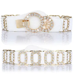 Cinto de cintura das mulheres, cinto decorativo feminino moda elástica incrustação de diamante das mulheres, cintura elástica, cinto alargado