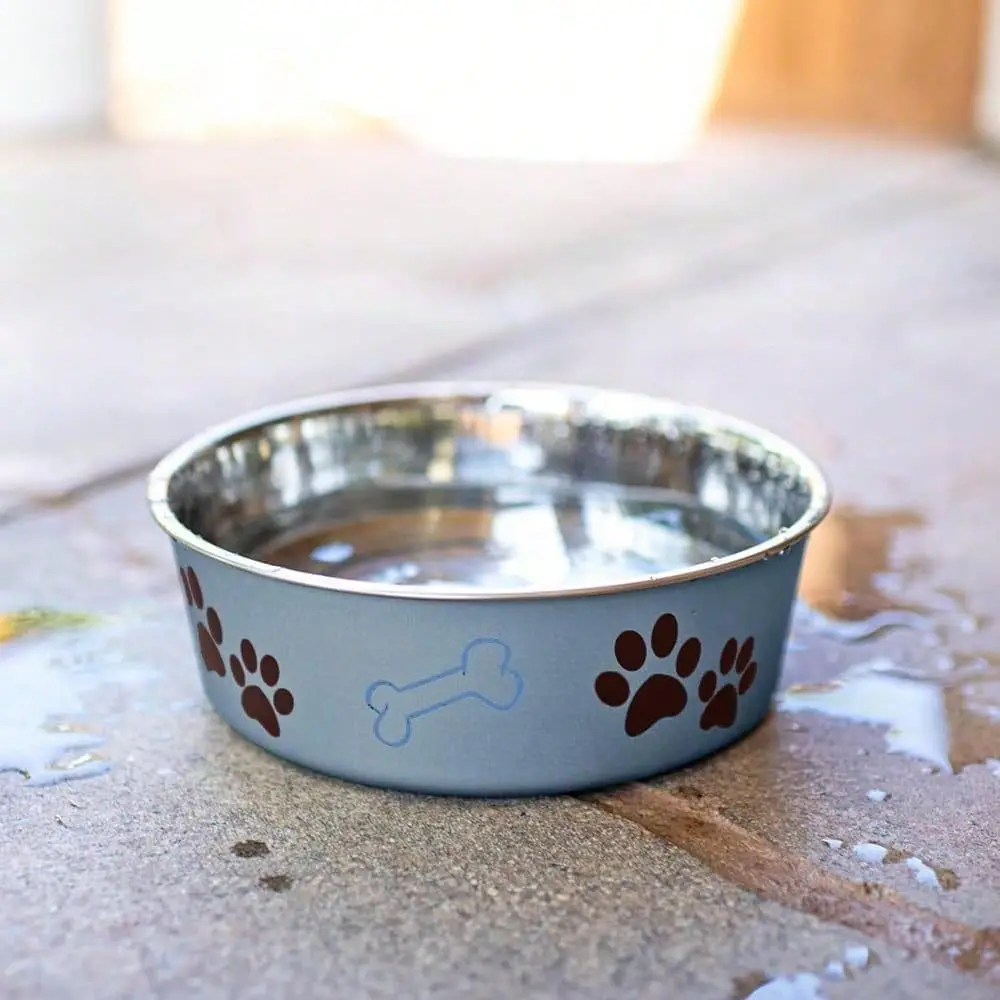 

Bowls Stainless Steel Dog Cat Bowls Spill Proof Dog Food Bowl, Cat Bowl, Puppy Essentials Pet Supplies Great For Home Travel Me