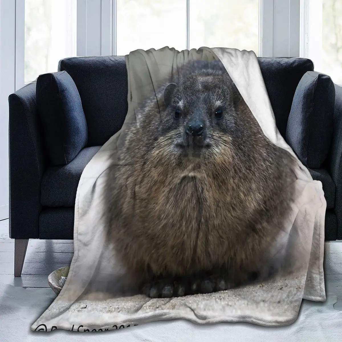 Rock Hyrax An Ultra-Soft Micro Fleece Blanket