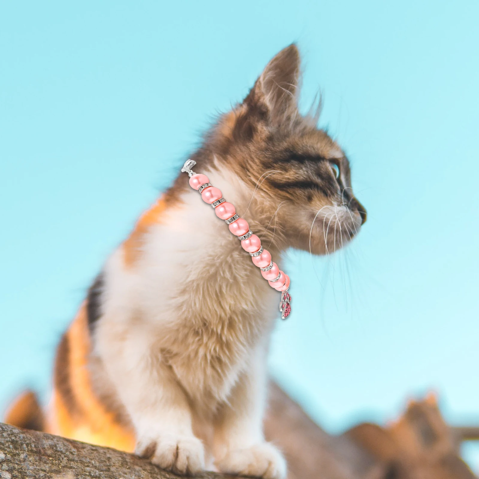 

2Pcs Pearl Cat Collar Adjustable Kitten Necklace Skin Friendly Lightweight Decorative Pet Neck Ring for Daily Wear