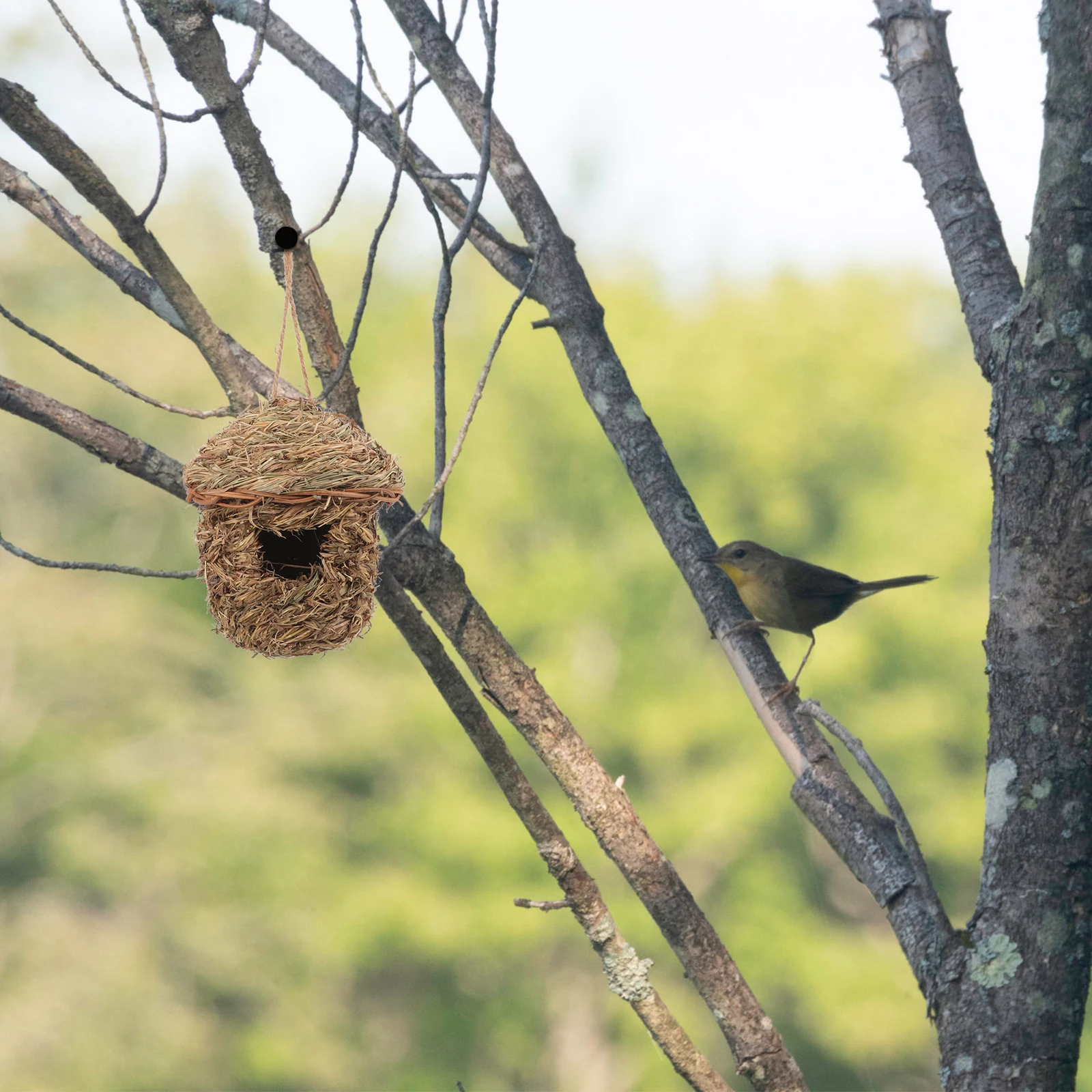 

Handwoven Straw Woven Bird House Natural Material Garden Decoration Comfortable Resting Place for Small Birds Protection
