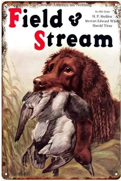 Field and Stream 1935 Duck HuntingLabradorMetal Tin Sign Wall Art Decorative-Sign Wall Plaque Posters Prints for Home Kitchen Ba