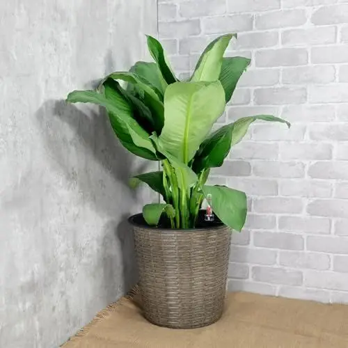 Plantador de decoração de vime com rega automática de 10,2' para ambientes internos e externos - redondo - cinza