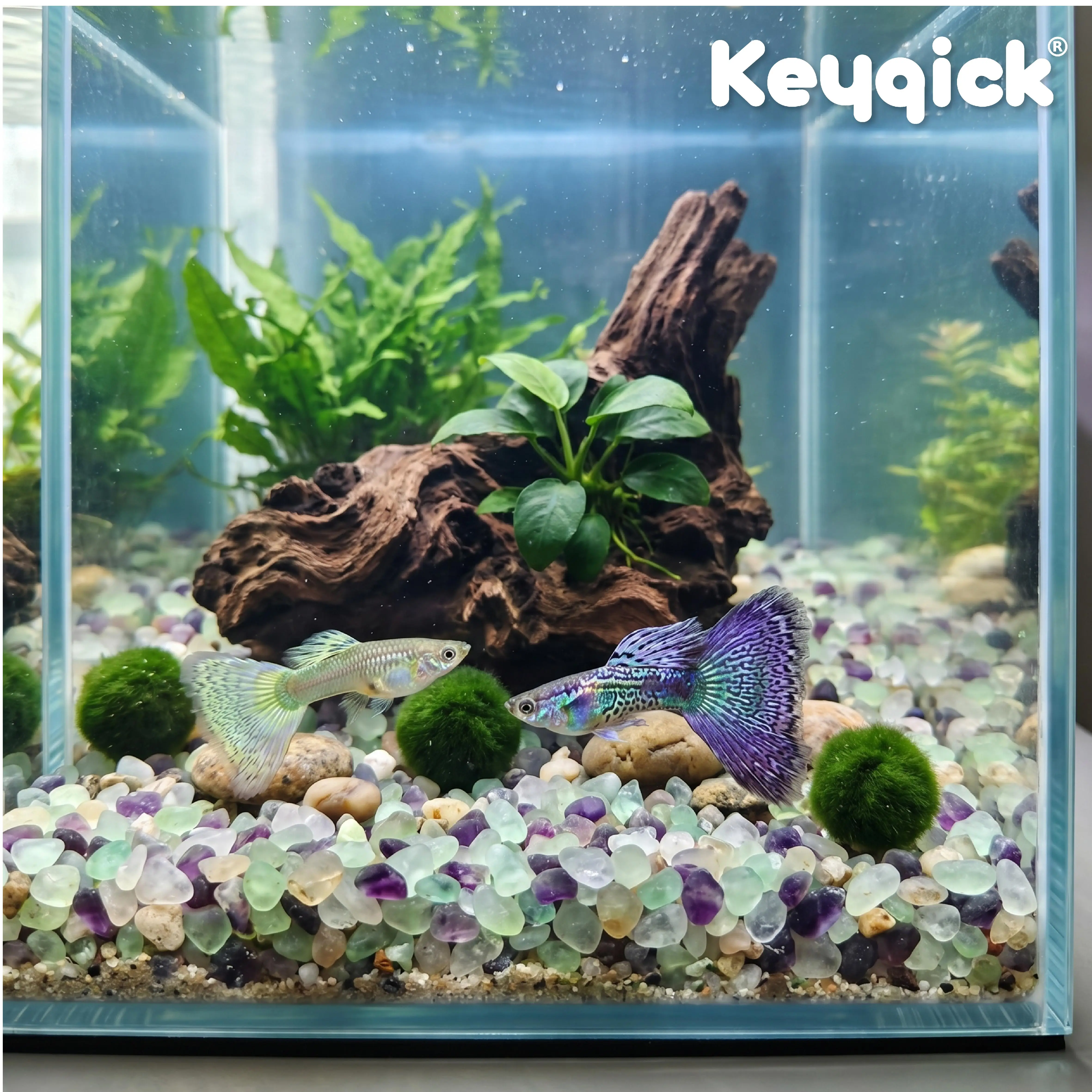 360g Natural Fluorite Fragments Crystal Succulent Plant Fillers, Flower Pots And Vases Decorative Mineral Pebbles, Aquarium Gravel, Aromatherapy Diffuser Filler, Suitable for aquariums, landscaping, vase fillers, succulents, cactus potted plants - view 6