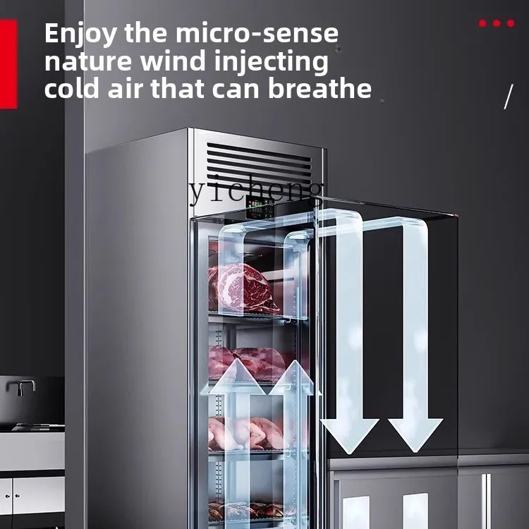 

Large capacity antibacterial thawing commercial thawing cabinet, high-voltage electrostatic low-temperature refrigeration