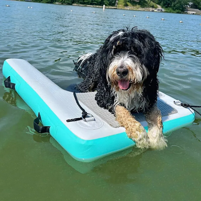 Inflatable Pet Water Ladder Dog Climbing Ramp Yacht Surfboard Water Entertainment Auxiliary Board