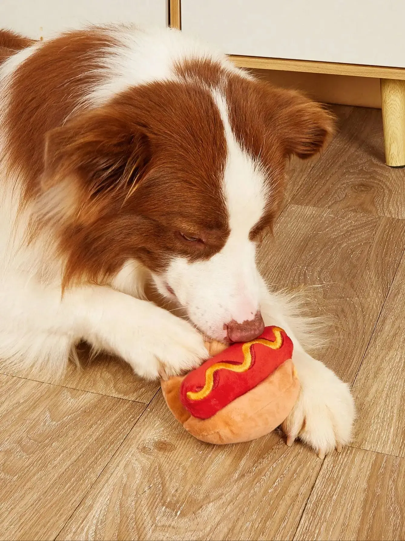 1pc Hot Dog Design Haustier Schleifen Zähne Quietschendes Plüschtier, Langlebiges Kauspielzeug Für Hund Interaktive Versorgung – Detail 1