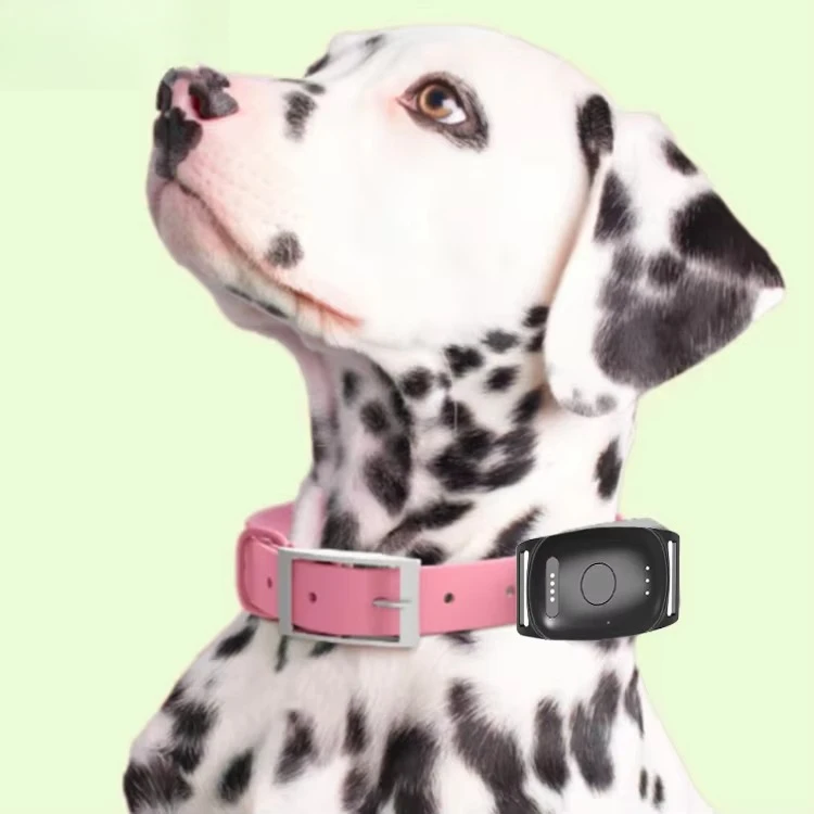 

LTE Waterproof GPS Dog Tracker Pet Fitness Tracker