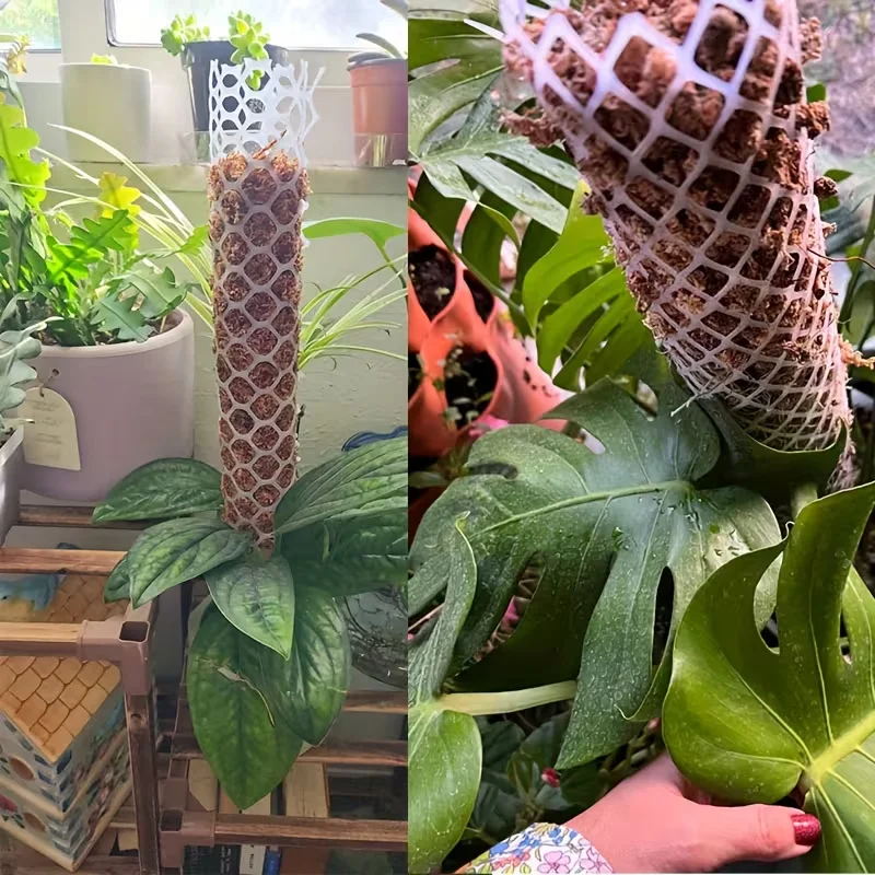 

Indoor Climbing Plants Guardian Tutors Pot Moss Stick Moss Pole Plastic Plant Stand For Plants Growth Garden Support Accessories