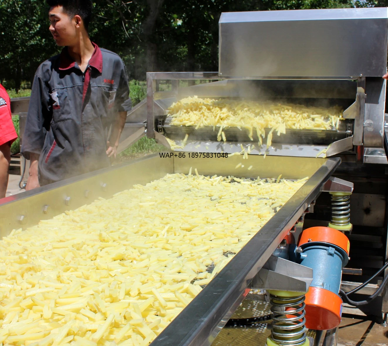 

Automatic French Fries Potato Production Line Crisps Chips Production Line Price