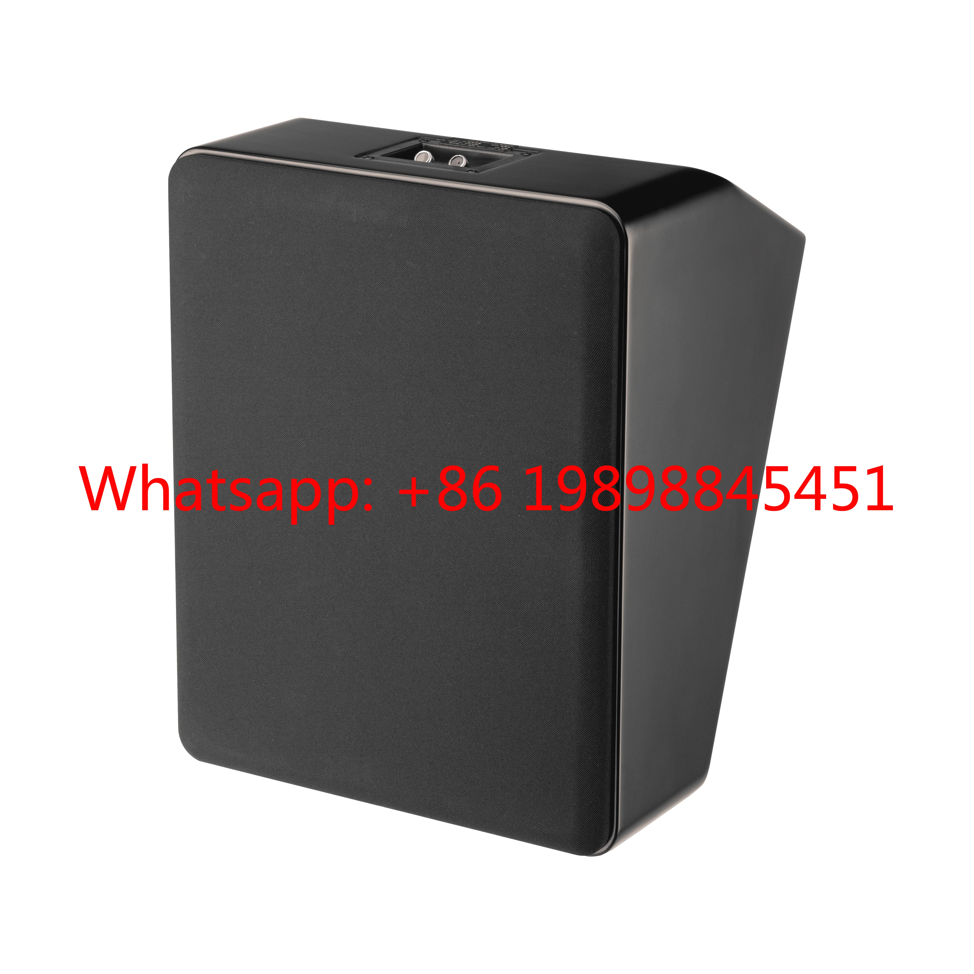 10 Inch Home Theater Karaoke Surround Speaker OEM ODM Customizable