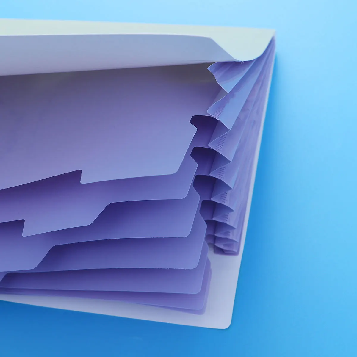 

Plastic Expanding File Folders A4 Letter Size Snap Closure Accordion Folder Floral Printing Document Organizer Floral