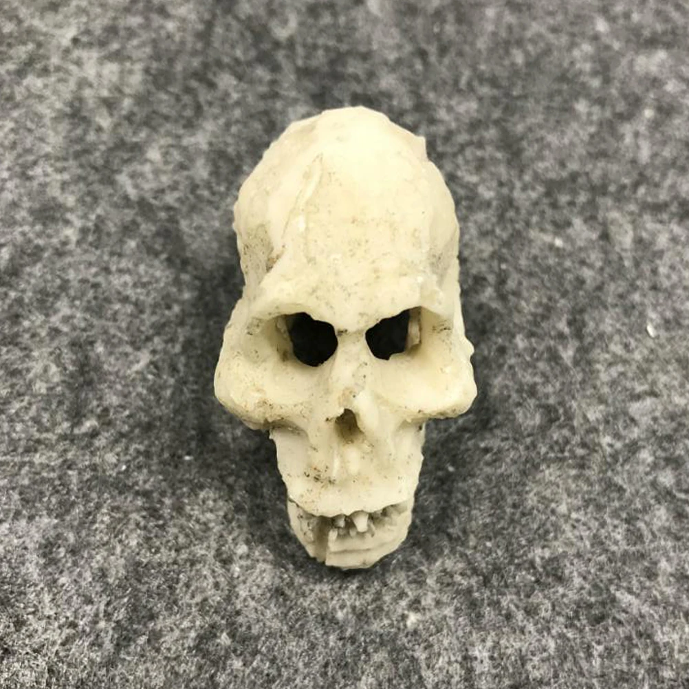 

2 PCS Simulated Skull Decoration Mini Miniature Human Head for Home Ornament Aquarium Decorative Stone