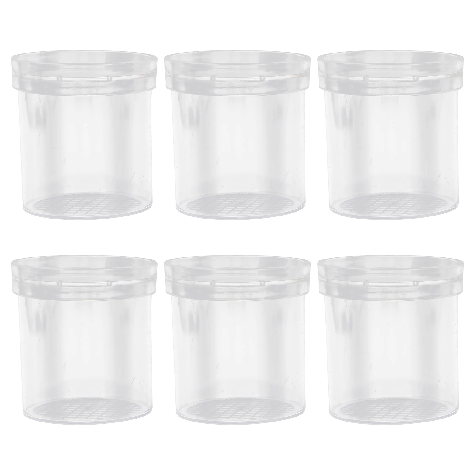 6 Pcs Insect Observation Cup Jar Viewer Toy Kids Biological Study Educational Tool Plastic Container Handheld