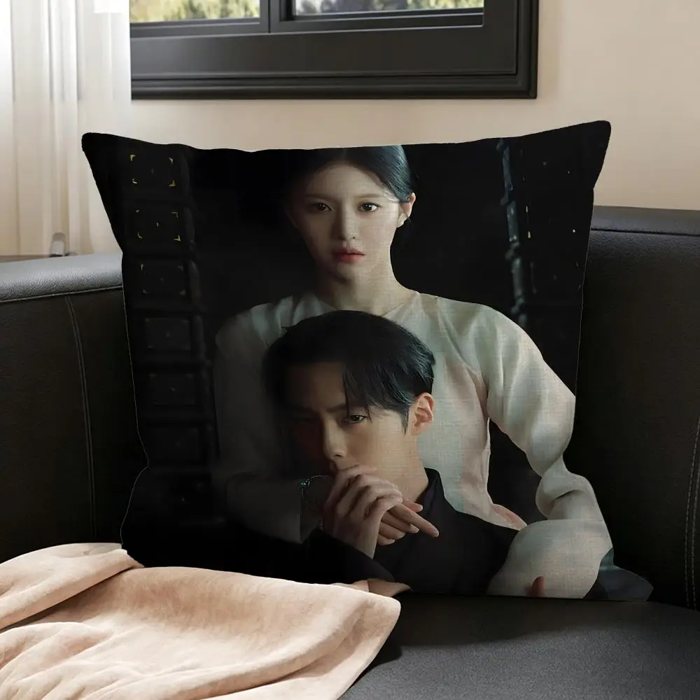 TV Series Alchemy of Souls Cushion Cover Natural Linen Pillowcase Set, All-in-One Decor for Sofa, Bedroom & Chair