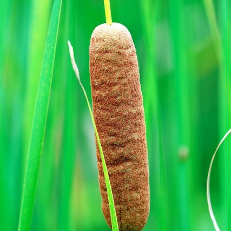 

Для 1/10 1/8 гусеничного автомобиля TRX-4 TAMIYA 42358 TRF RC автомобильная сумка для хранения с дистанционным управлением сумка для хранения радиоуправляемой модели автомобиля