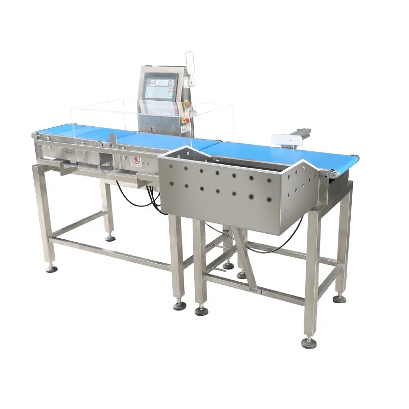 Automatic Touch Screen High Precision Conveyor Belt Small Product Checking Scale Checking Scale Mini Weight Checking Machine