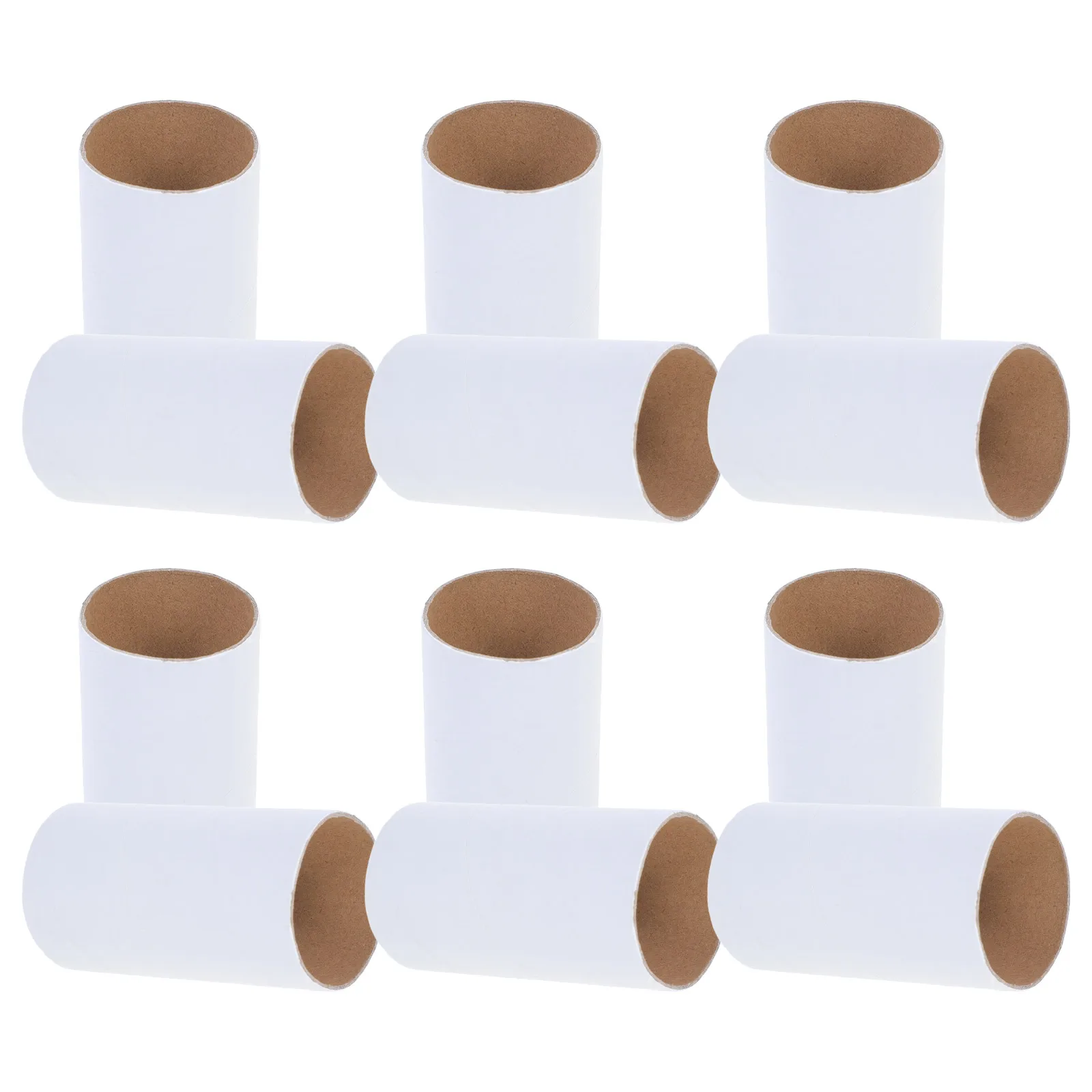 12 Pcs Paper Tubes Blank Cylindrical White Embryo Toilet Paper Cores for Crafts Cardboard Tubes DIY Painting Projects