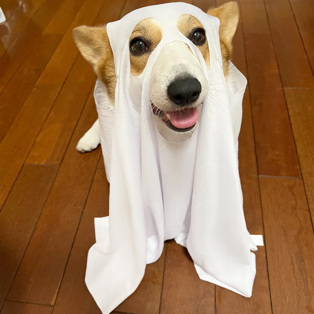 جديد شبح الكلب loween تأثيري الديكور الاسمية رداء مستلزمات الحيوانات الأليفة سماعة العرقية المرحلة زي المرأة Faion صيف 2025