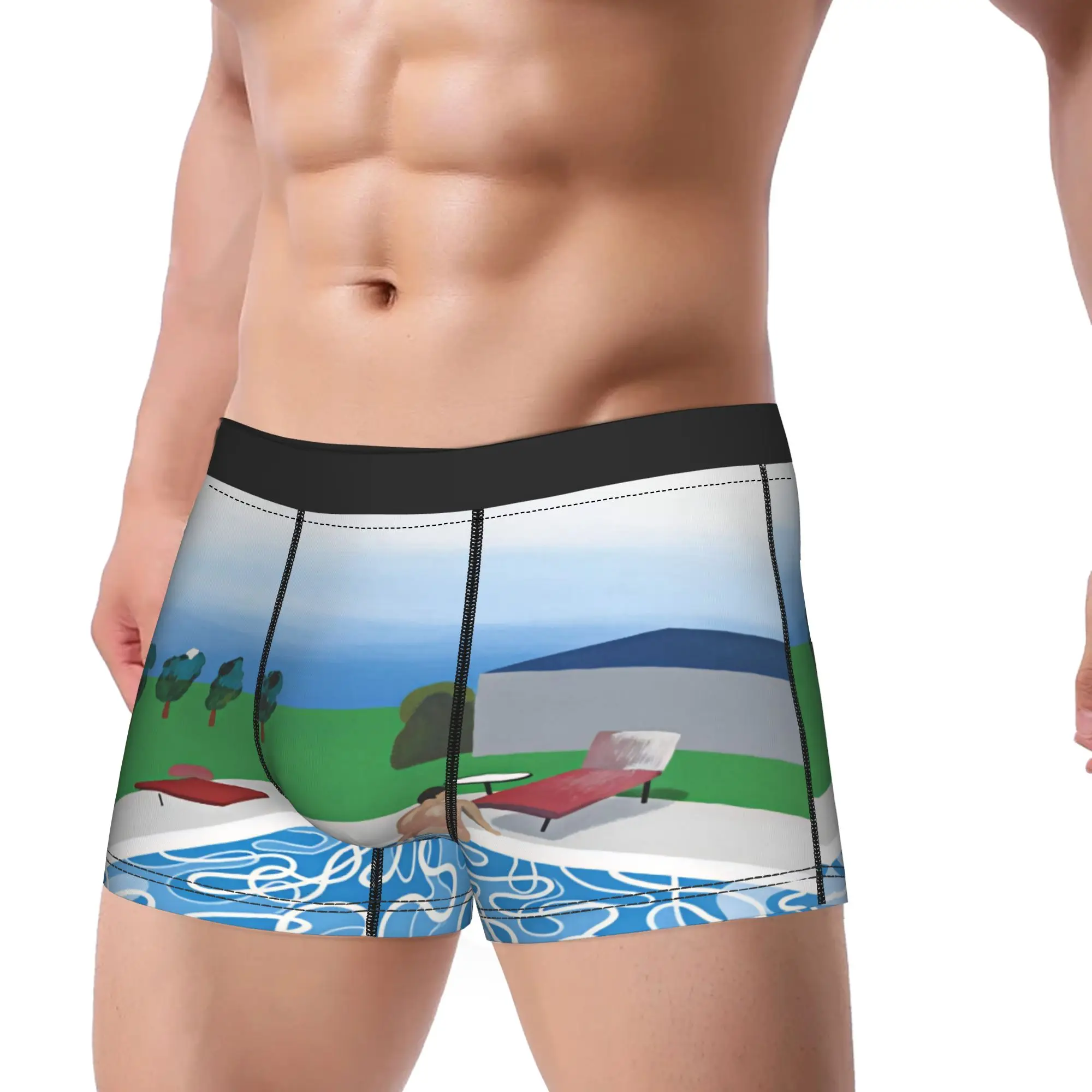 David Hockney Art   Swimming Ketok Bokonge Poster Boxer Brief  Underwear Trenky Men Comfortable Trunk Pattern Oversize Panties