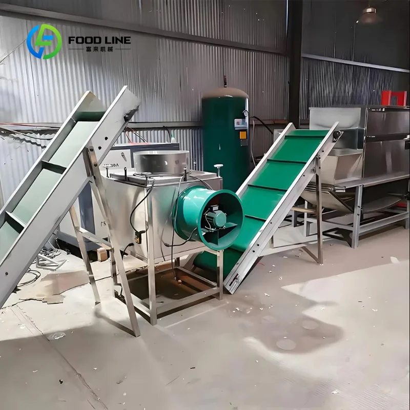 Customized Large Capacity Automatic Garlic Peeling Machine Garlic Peeling Equipment Garlic Separator Peeling Processing Line