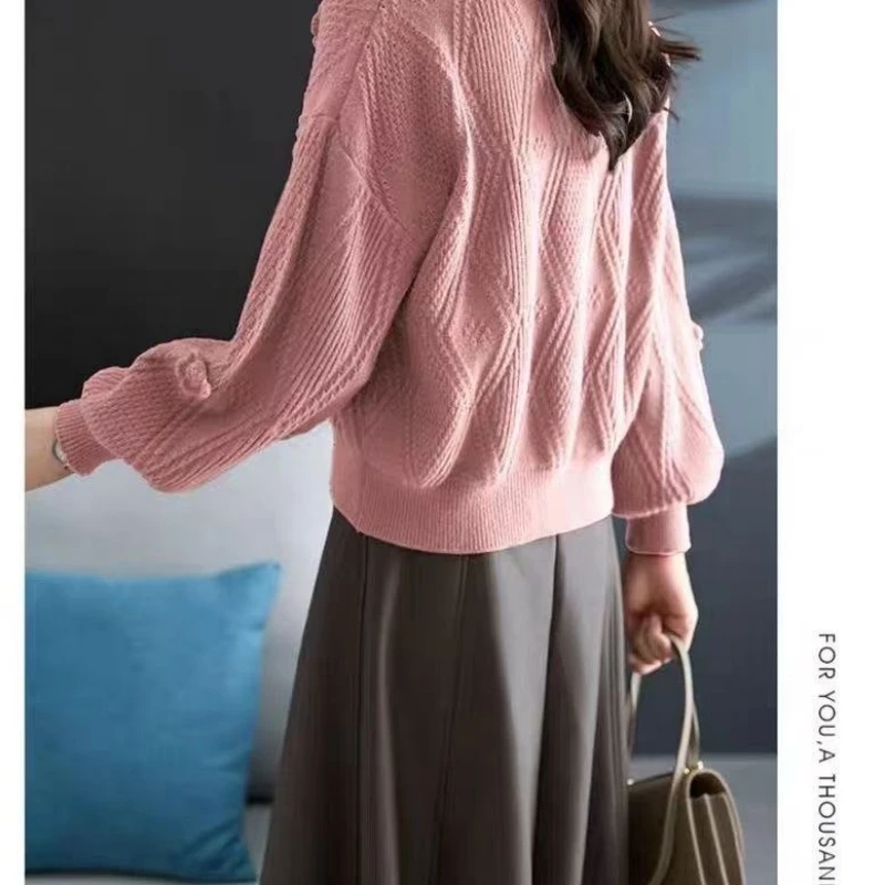 Solid Color 3D Flower Beautiful Pullover Sweater for Women Autumn Winter Loose Lantern Sleeve Knitted Top Fashion Women Clothing 6 Solid Color 3D Flower Beautiful Pullover Sweater for Women Autumn Winter Loose Lantern Sleeve Knitted Top Fashion Women Clothing 6