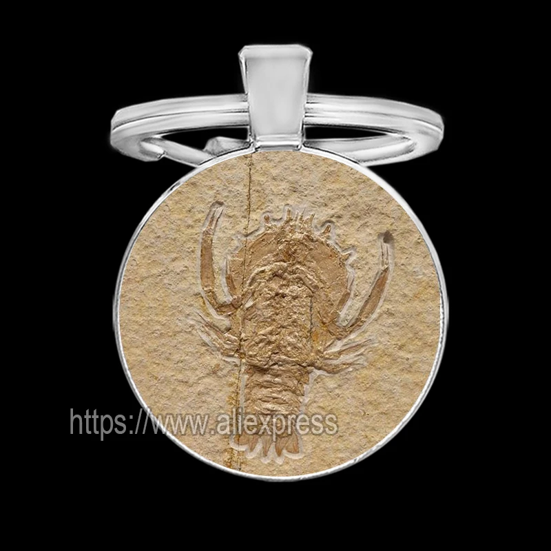 Biological Fossils Keychains for Men Plant Dinosaur Fish Tortoise Key Holder for Keys Cool Keychain for Boy