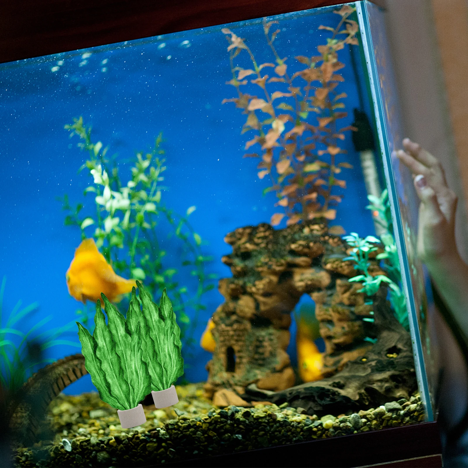 

5Pcs Water Plant Fixed Ring Pottery Stable Weight Fish Tank Aquarium Plant Holder Landscape Decoration Fish Tank Fixed Ring