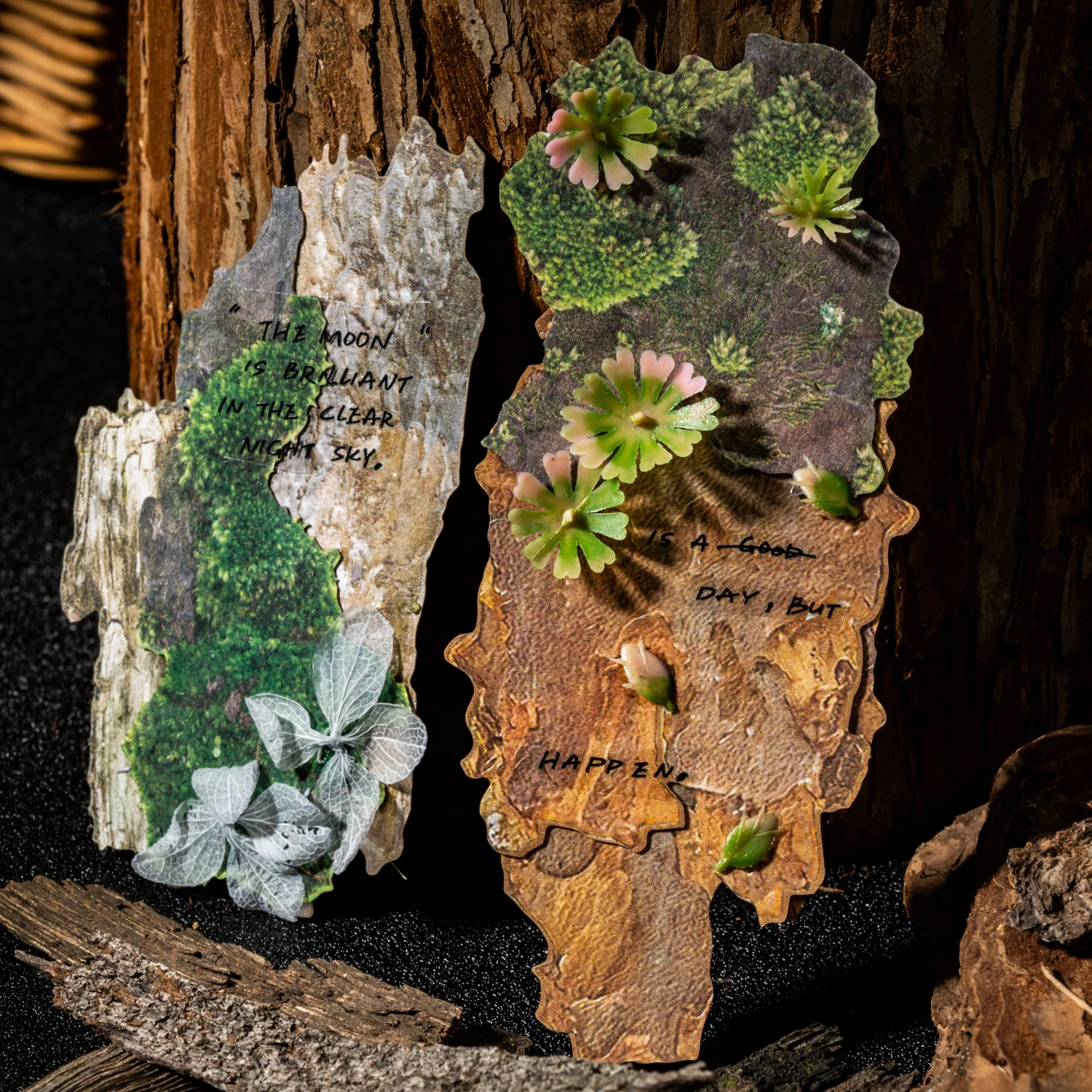 Natural Collection … - image