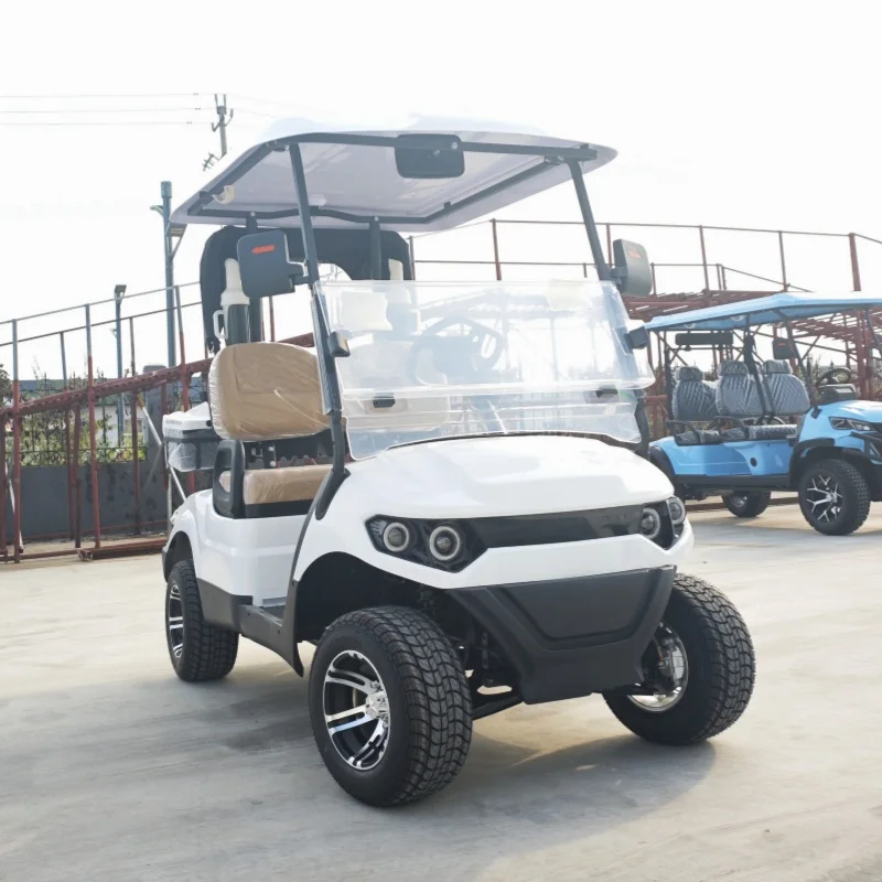 

2025 Клубные тележки для гольфа, 2-местная электрическая тележка для гольфа, 72 В, литиевая удобная машина с сумкой для гольфа, дождевиком и коробкой для песка