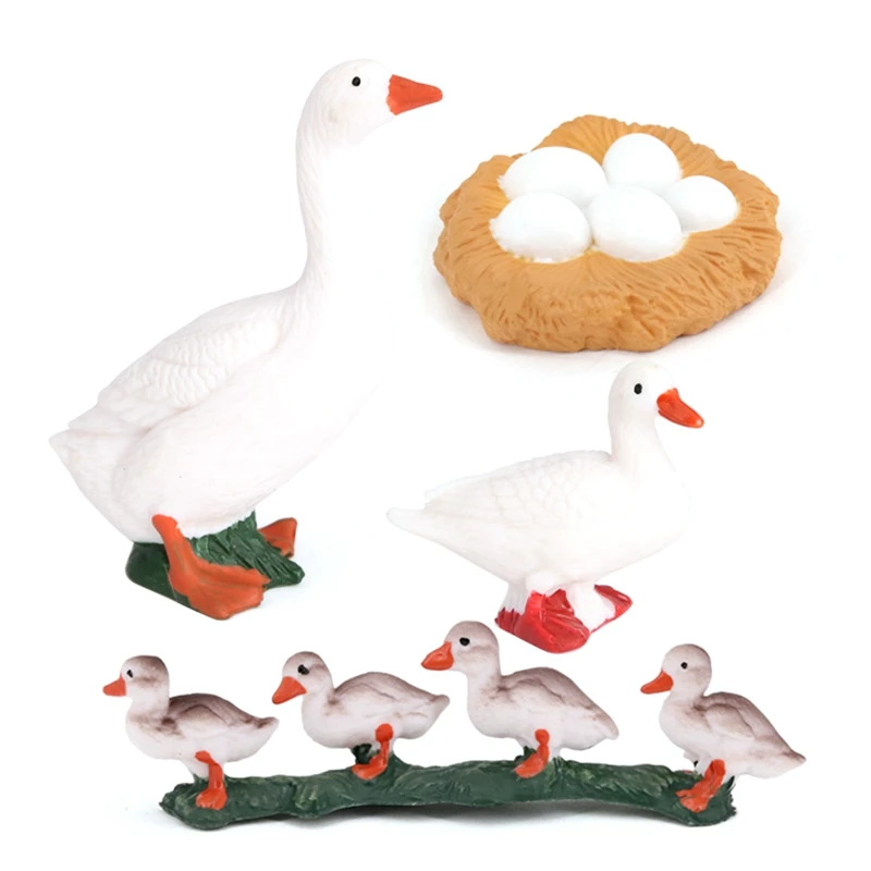 4Pcs/Set Duck Animal Life Cycle Farm Animals Figurines Life Cycle Exploration Toy Science Model Kids Educational Toys