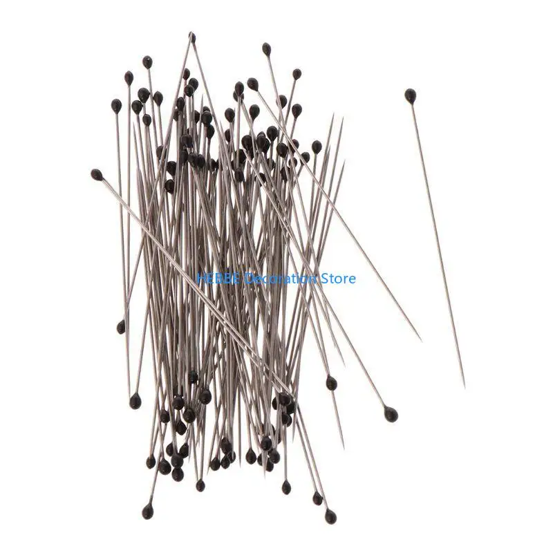 B0KC 100 Pieces Insect Pins Pins Stainless Steel with Plastic Box Resin for Head for Entomology Dissection for Butte