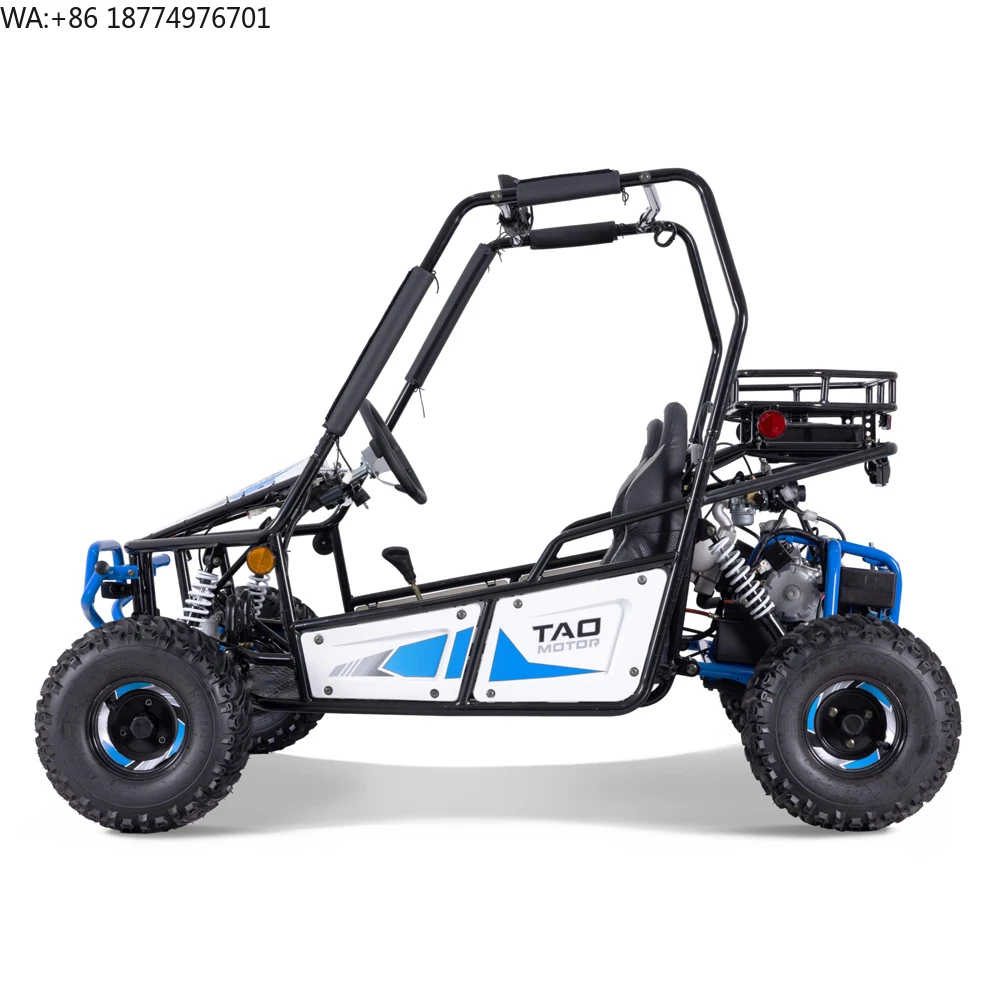 Tao Motor 2023 New Design Buggy 125cc Go Karts for Adults