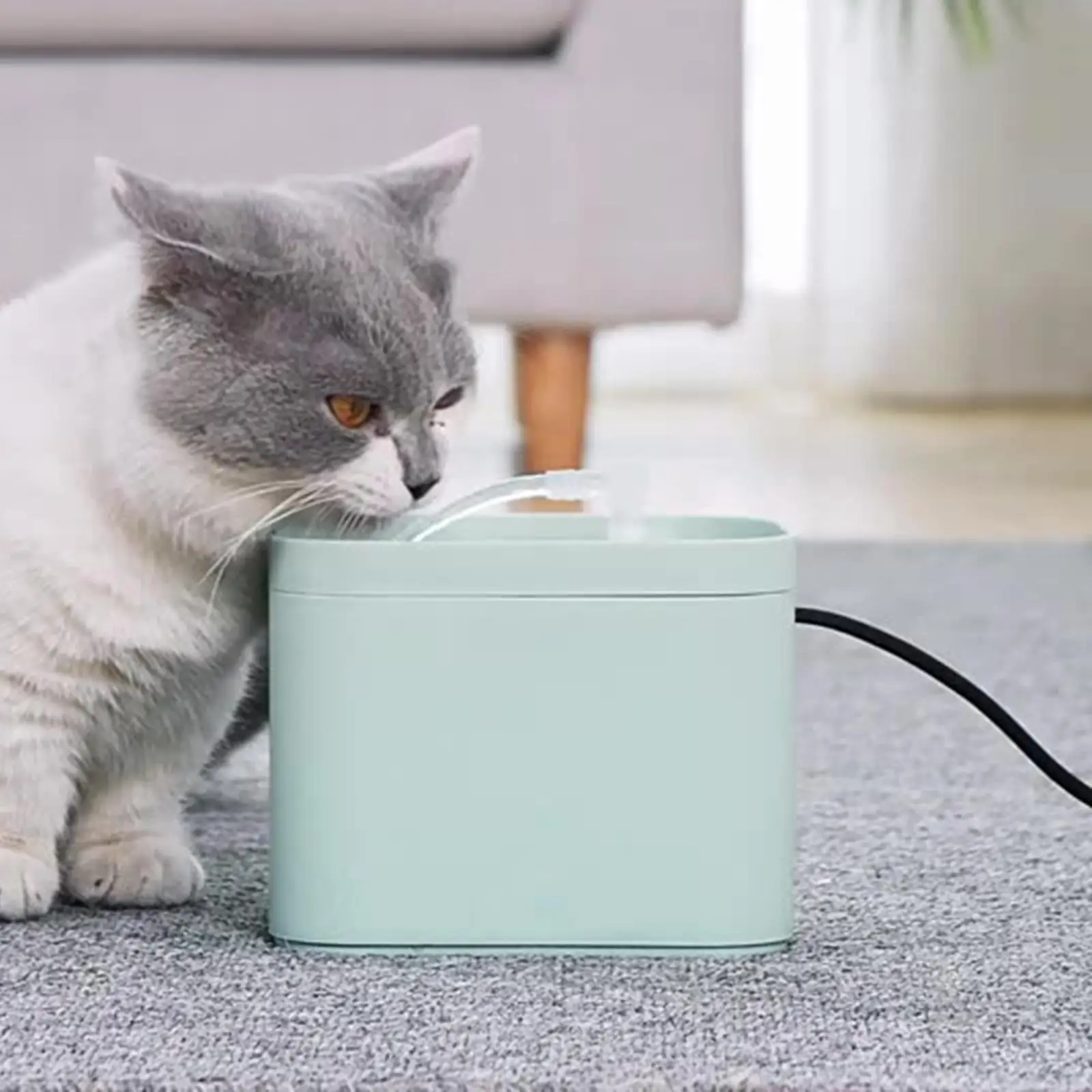 1.5L Automatic Cat Water Fountain USB Pet Drinker Bowl Pet Drinking Dispenser Drinker for Cat Water Filter Drinking Water Bowl