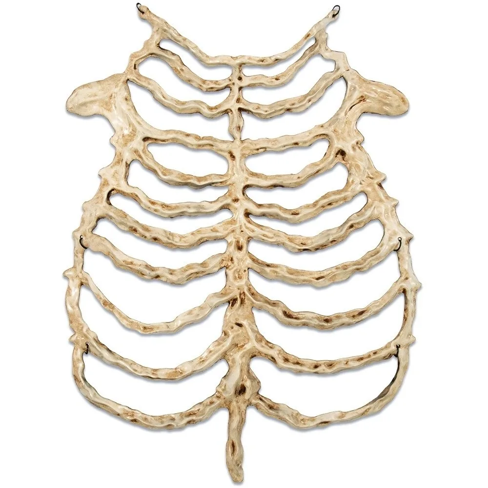 

Unique Hollow Skeleton Frame Chain Bone Prop Breastbone Frame Structure Costume Accessory Hollow Skeleton Party Costume