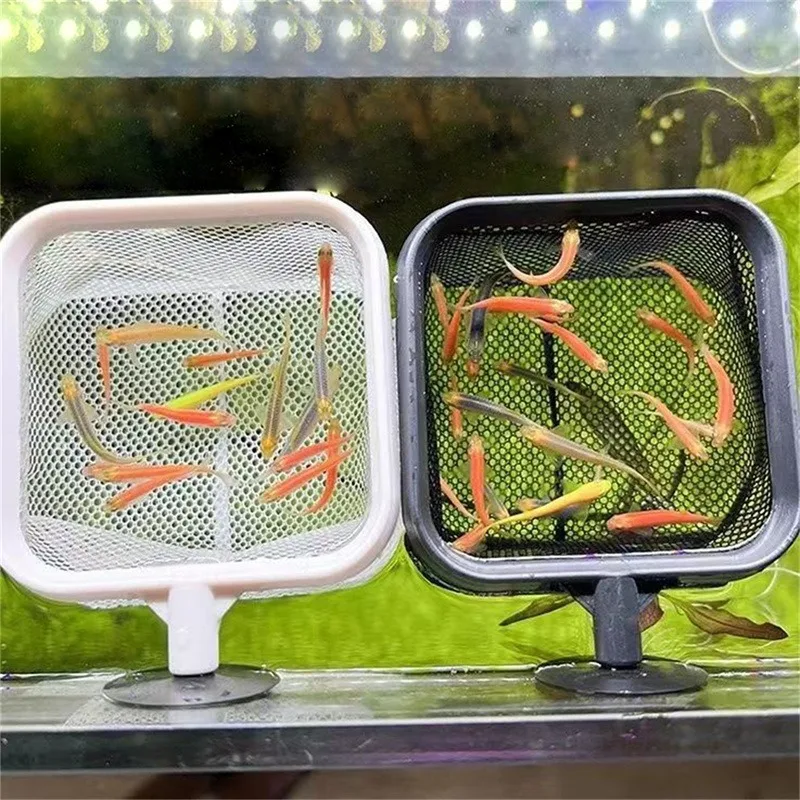 شبكة صيد السمك من الفولاذ المقاوم للصدأ قابلة للسحب، شبكات صيد الروبيان الصغيرة، ملحقات الأسماك لأداة تنظيف خزان الأسماك #5