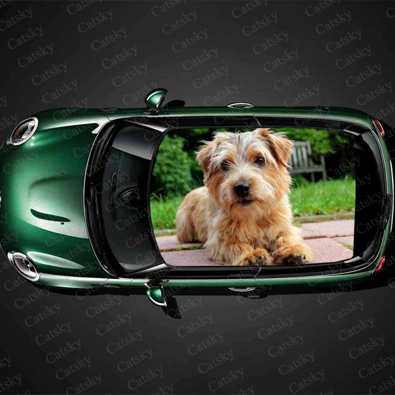 Norfolk Terrier animal Car roof sticker wrap racing SUV accessories packaging painting PVC car accessories graphic decals