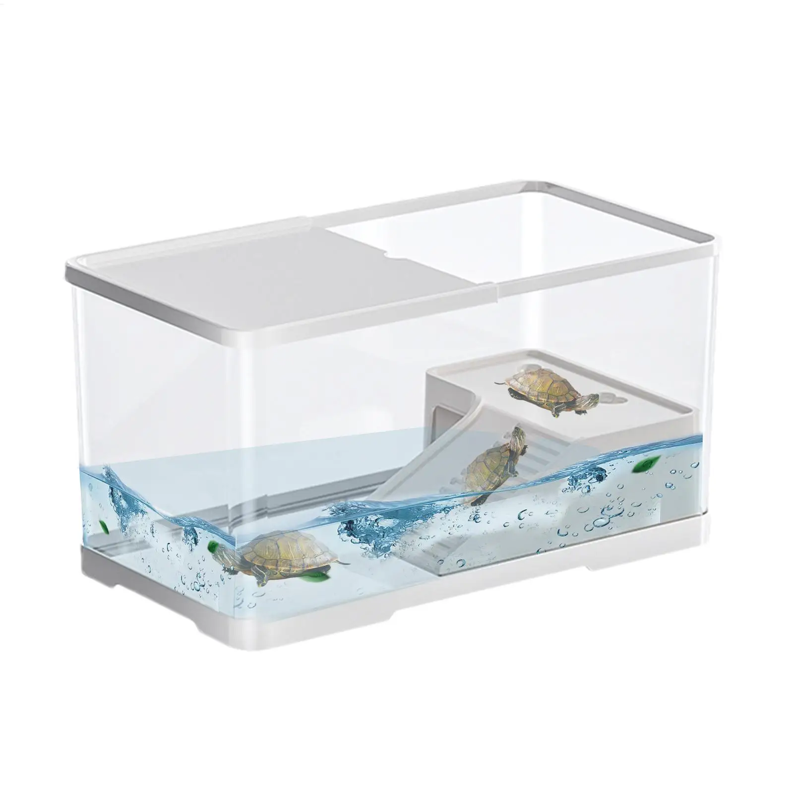 Schildkrötenpanzer, Reptilienpanzer, Schildkröten-Aquarium, Lebensraum, Aquatische Schildkröte, Aquarium, beständig, Hydrokultur-Tank, Aquarium, Vivarium-Box