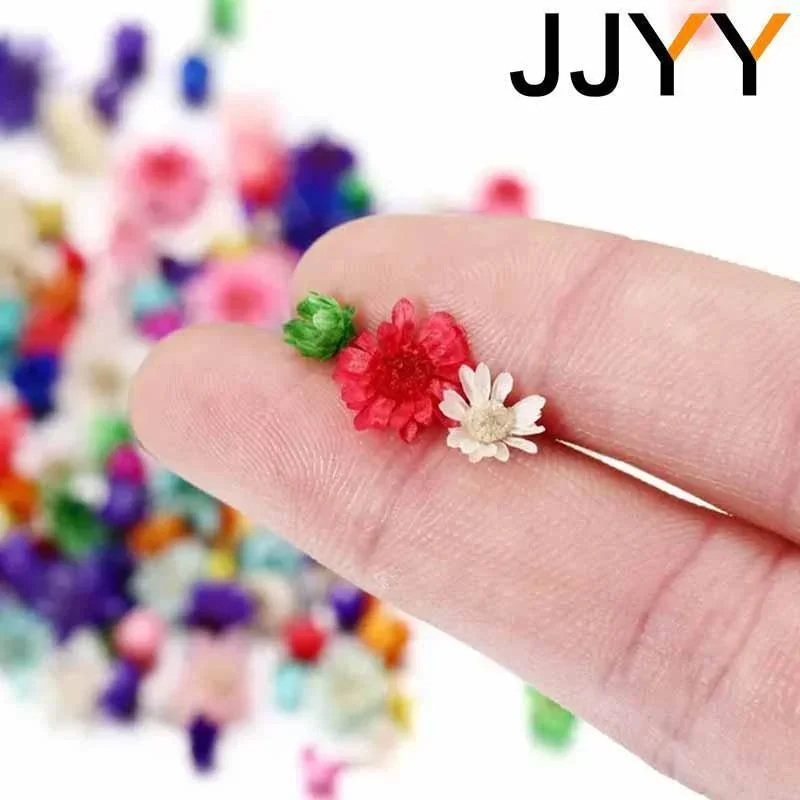 Mini Dried Flower Pack