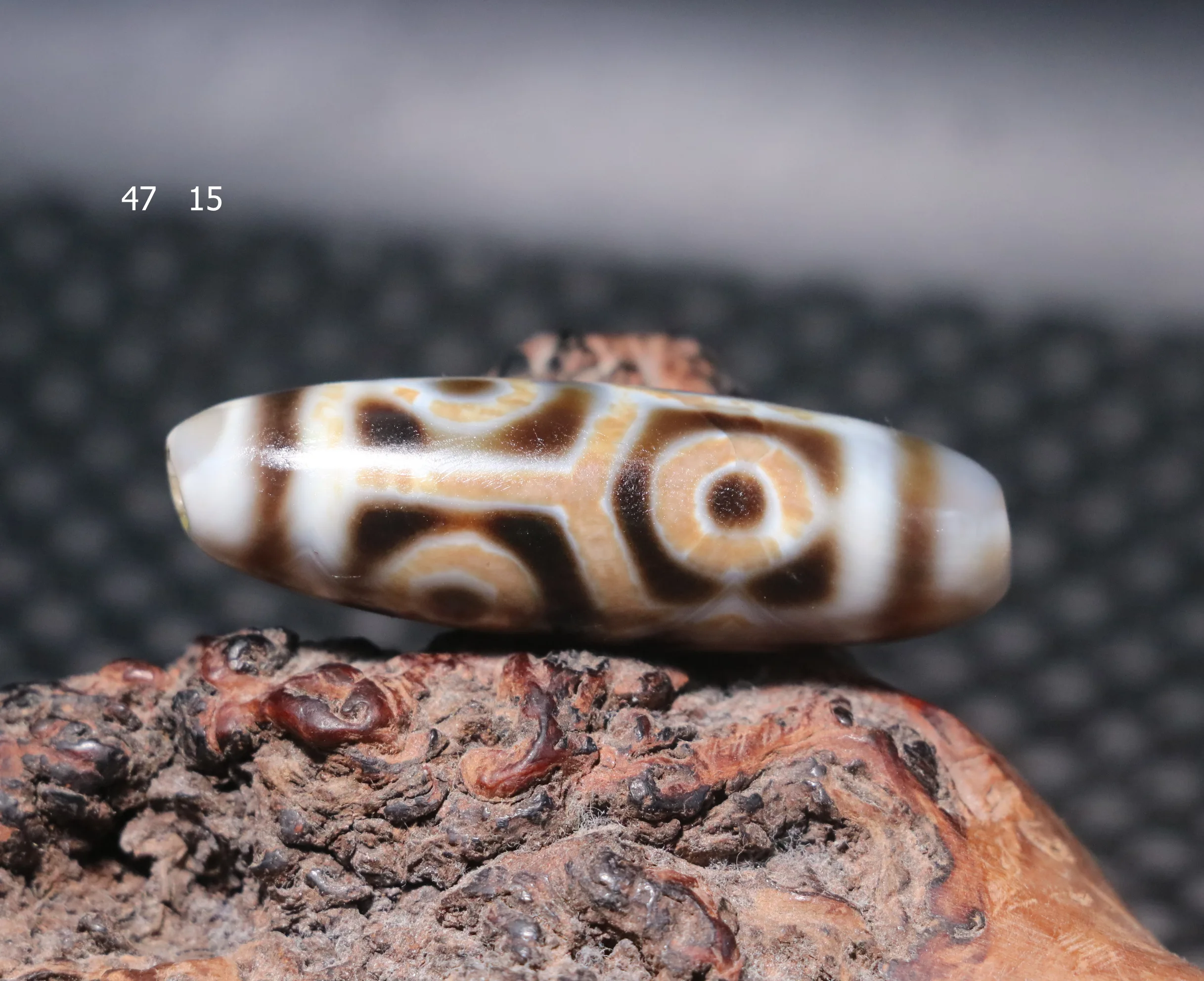 

Treasure Ultra Energy Tibetan Old Agate Turtle Shell 6 Eyed Longevity dZi Bead 5A 47MMs Lkbrother UPD221211A12