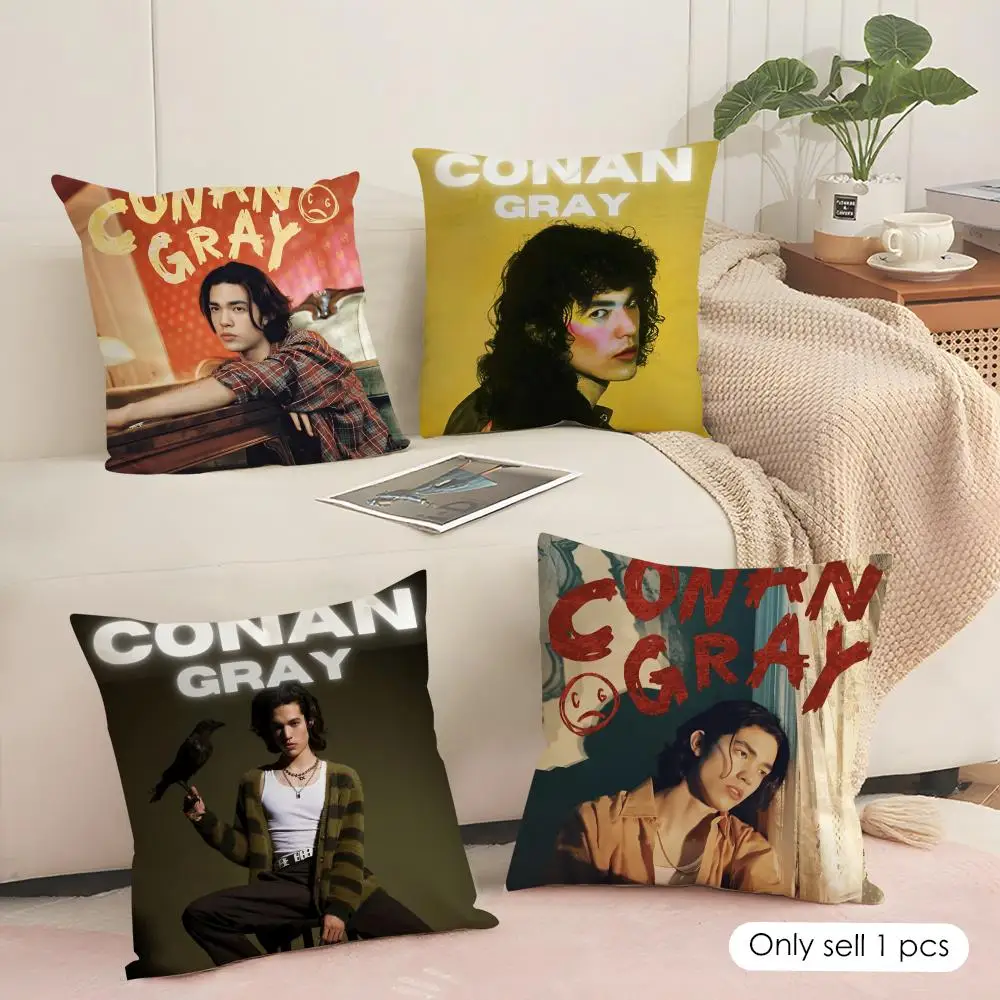 C-conan grayS Cushion Cover Pillowcase Ultra Soft Skin Friendly Fabric Cloud Like Comfort & Concealed Zipper