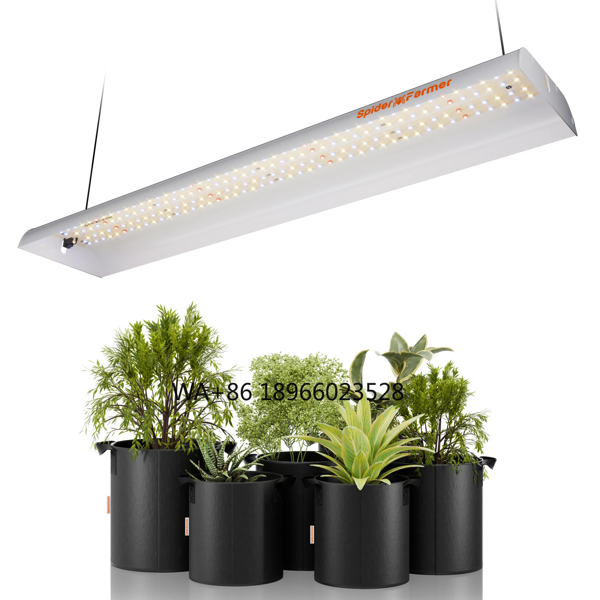 33W Veg Seedling Clone Indoor Full Spectrum Board Led Grow Light Spider Farmer SF300