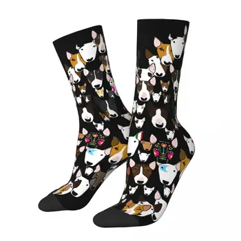Chaussettes rétro Bully Love pour hommes, Bull Terrier, chien de compagnie, unisexe, Style de rue, sans couture, imprimées, Happy Crew, cadeau