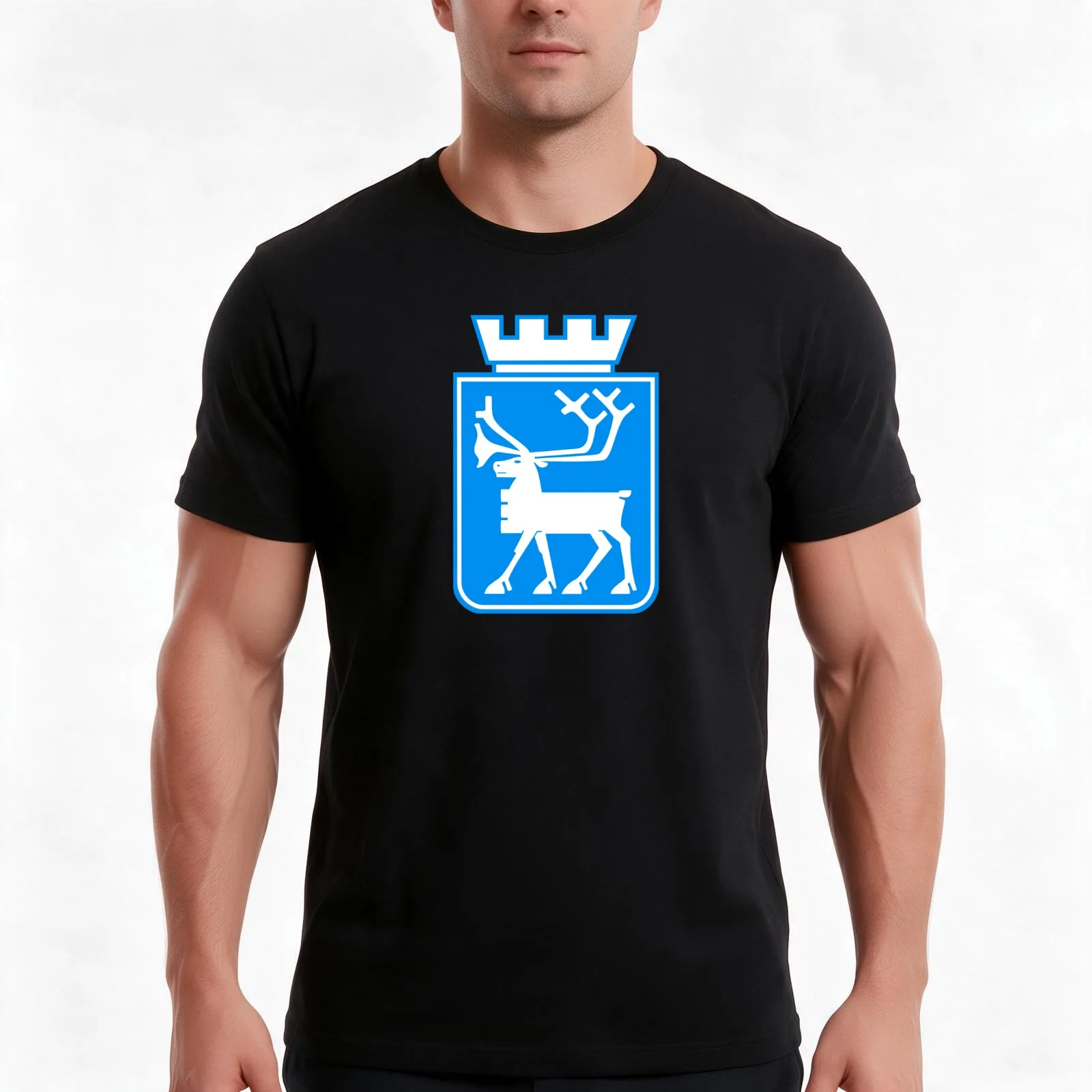 Troms? Coat of Arms, Norway T-Shirt, Summer Casual Cotton Tee, Oversized Streetwear Tops, Vintage Graphic Print, 100% Cotton
