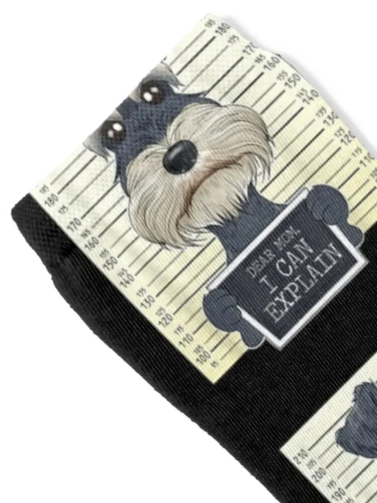 Meias engraçadas Schnauzer miniatura para homens e mulheres, meias personalizadas Natal