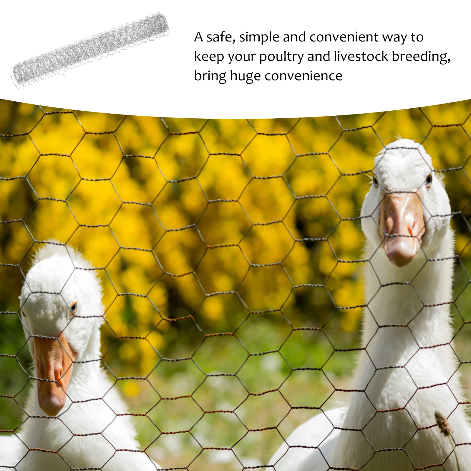 

Hexagonal Wire Mesh Netting for Chicken Fence Poultry Breeding Livestock Enclosure Garden Protection Craft Decoration Home Farm