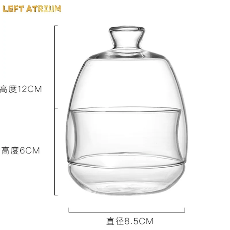 Micro Landscape Ecological Moss Glass Bottles With Lid Glass Vase Green Plant Microecological Glass Terrarium Vegetation Contain