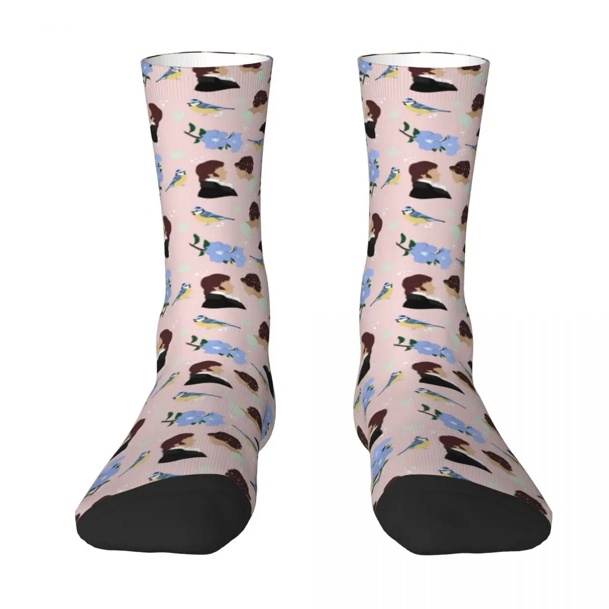 

Pride and Prejudice Art Socks luxe bright garter Men's Socks Women's