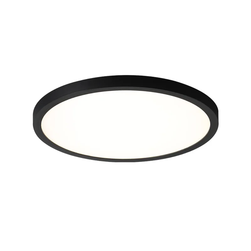 Modern Minimalist Round Ultra Thin Ceiling Light New Arrival Flush Mount Lamp for Bedroom Study Room Indoor Home Decor Lighting